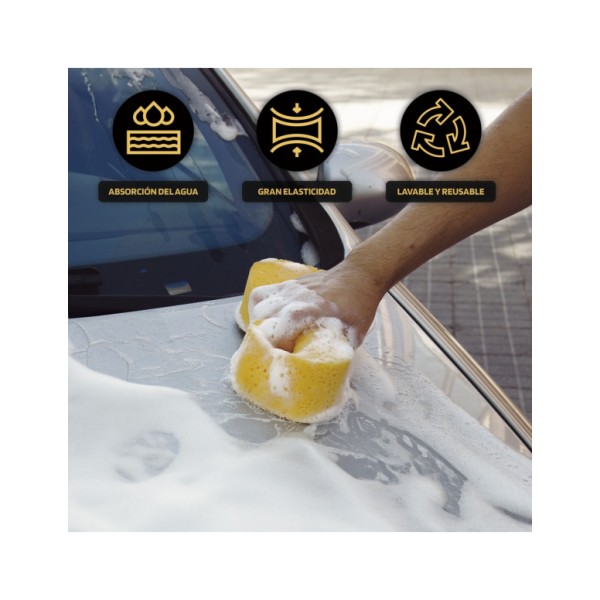 Esponja Billionaire para el Lavado y Cuidado de tu Coche Muy Absorbente 30 x 13 cm