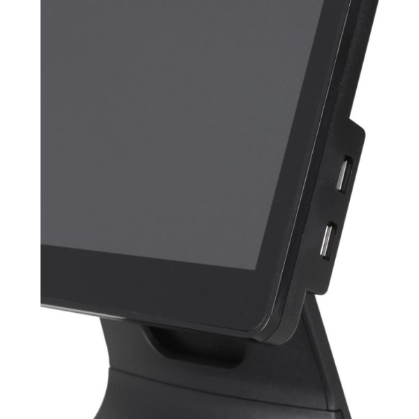 Iggual tpv aio 15,6" 16:9 n100 8+256gb wifi w11pro